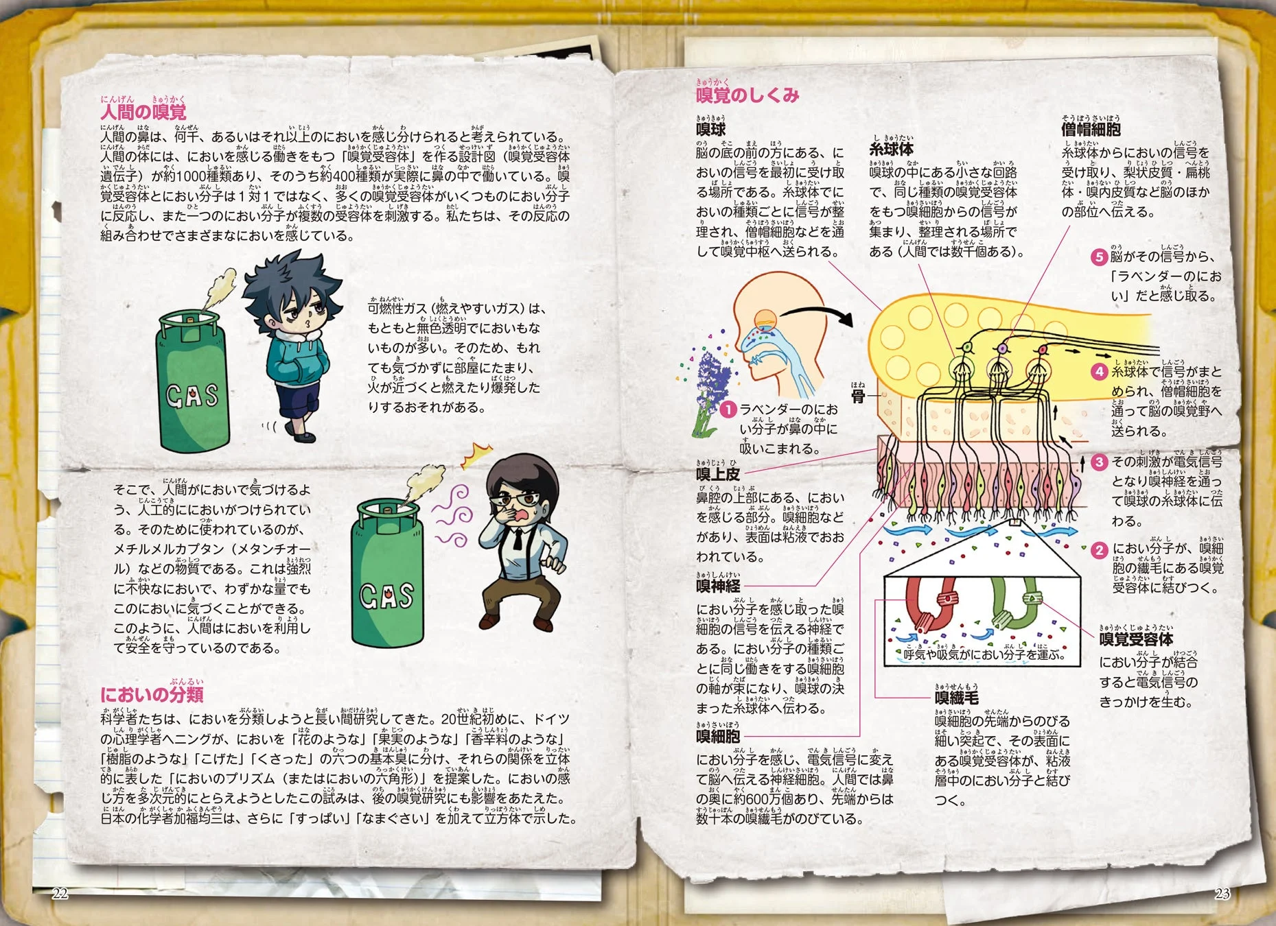 人間の嗅覚の仕組みを解説する記事ページ