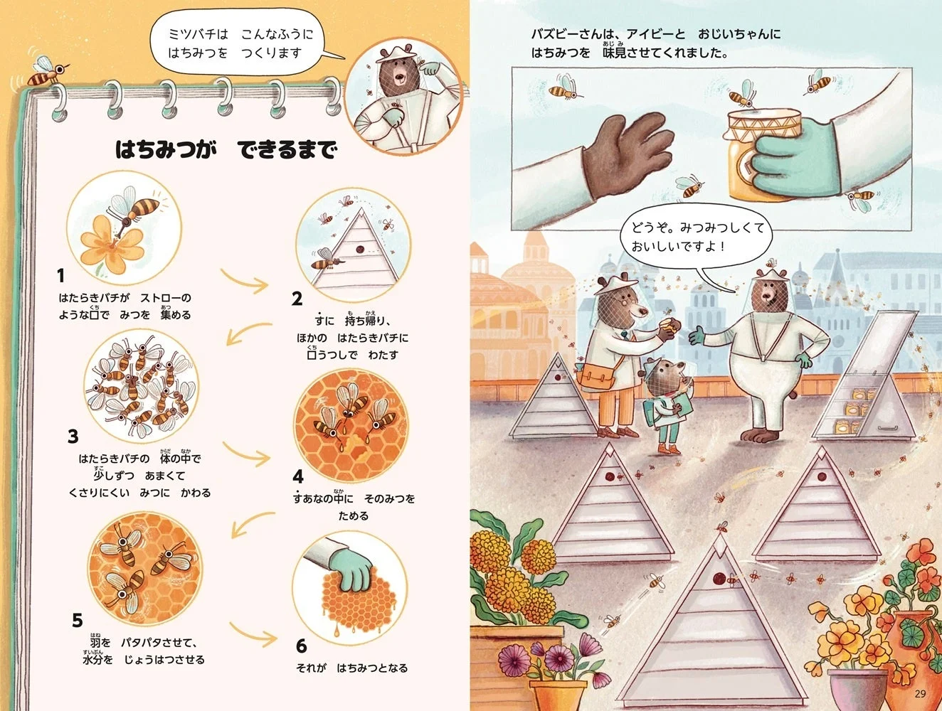 ミツバチがはちみつを作る工程