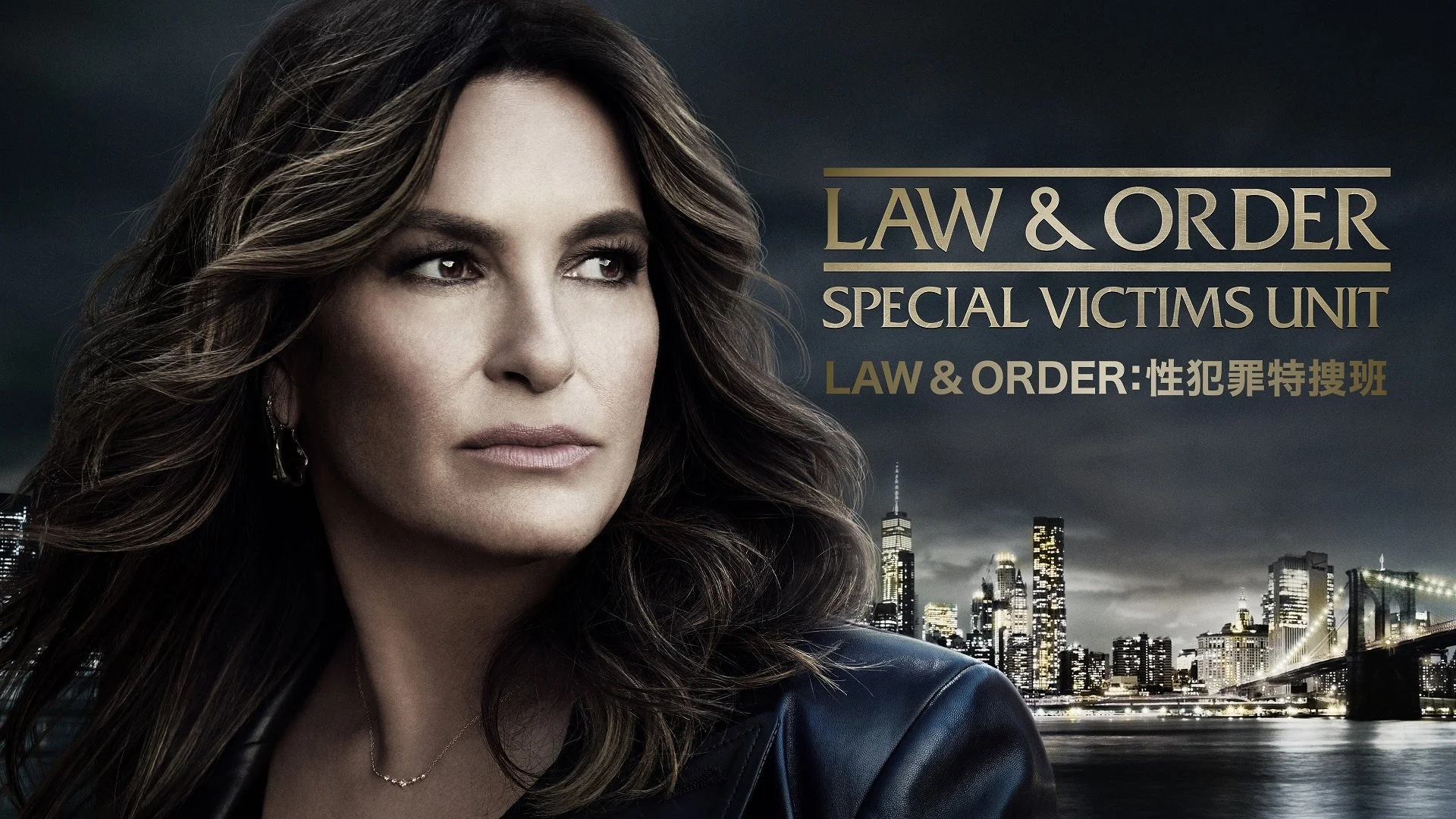 LAW & ORDER：性犯罪特捜班