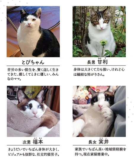 登場猫紹介1