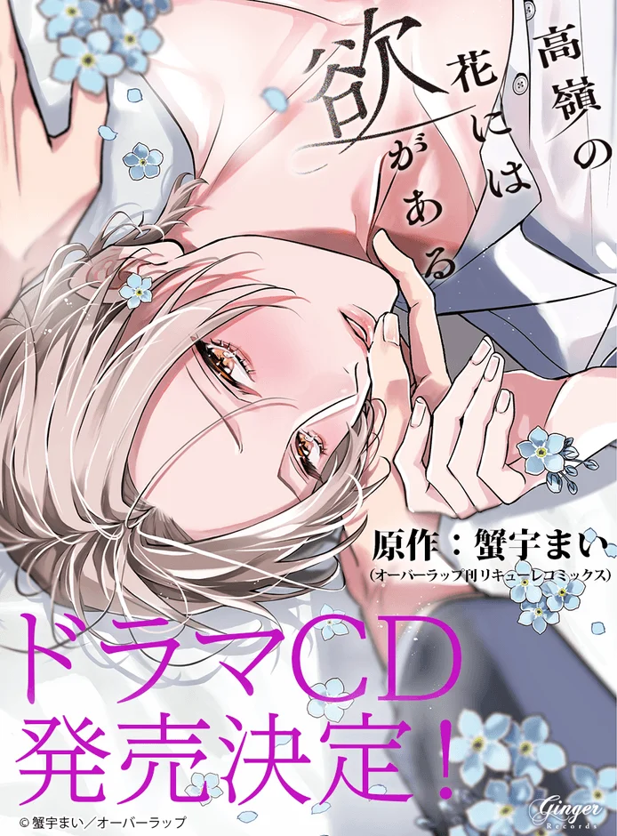 ドラマCD化決定！高嶺の花には欲がある