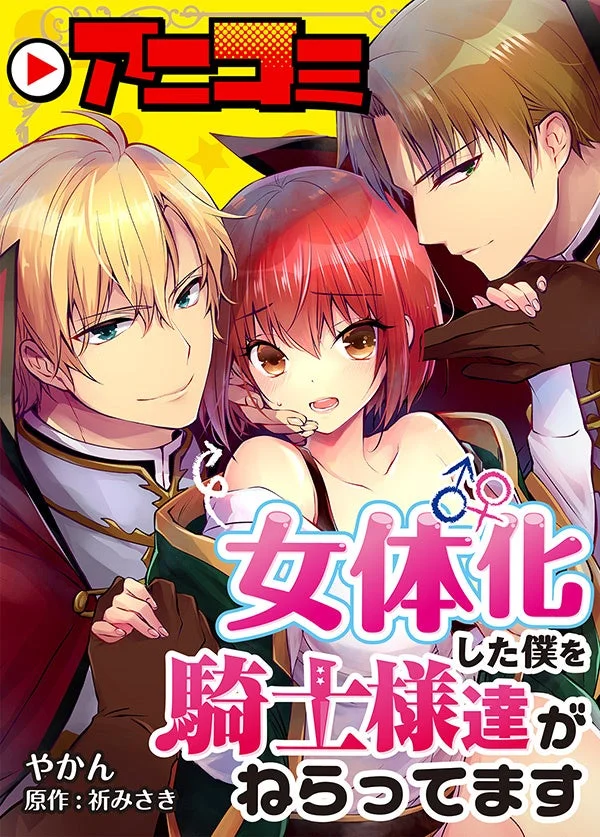 アニコミ「女体化した僕を騎士様達がねらってます」