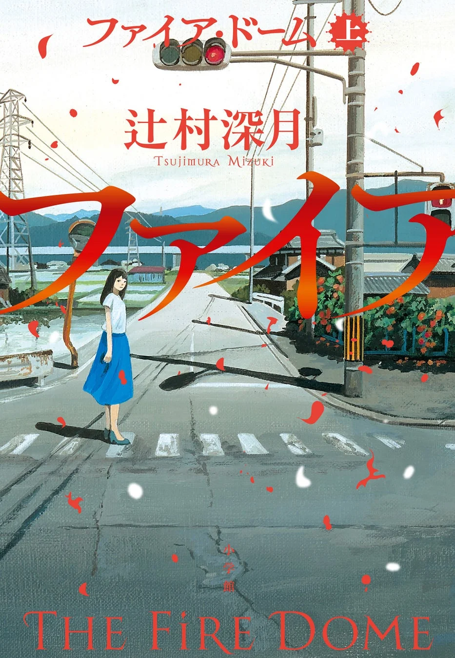 ファイア・ドーム（上巻）