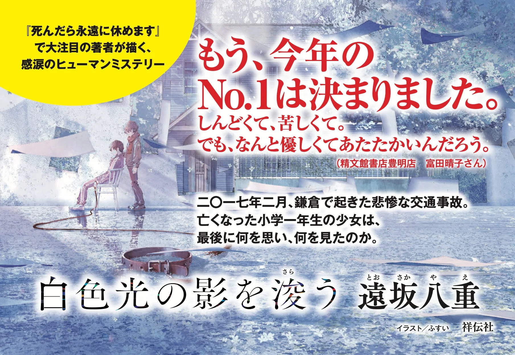 白色光の影を浚う 書影